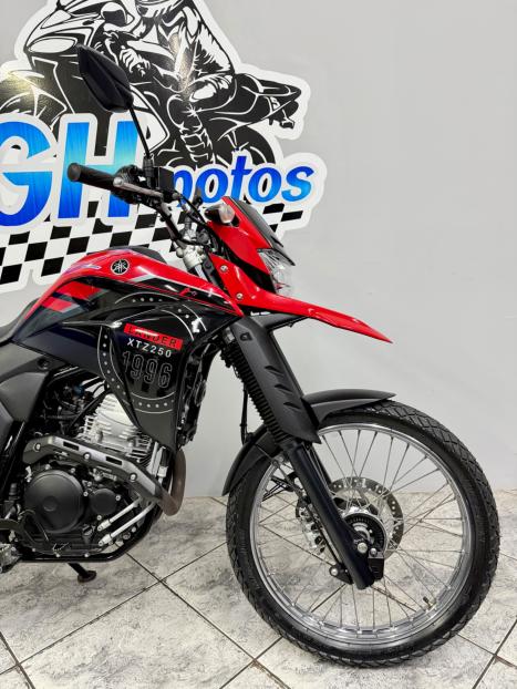 YAMAHA XTZ 250 LANDER, Foto 2