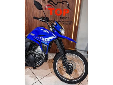 YAMAHA XTZ 250 LANDER, Foto 2