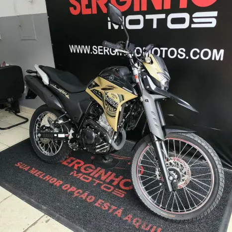 YAMAHA XTZ 250 LANDER, Foto 2