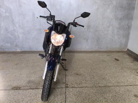YAMAHA YBR 150 FACTOR ED FLEX, Foto 2