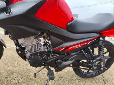 YAMAHA YBR 150 FACTOR ED FLEX, Foto 3