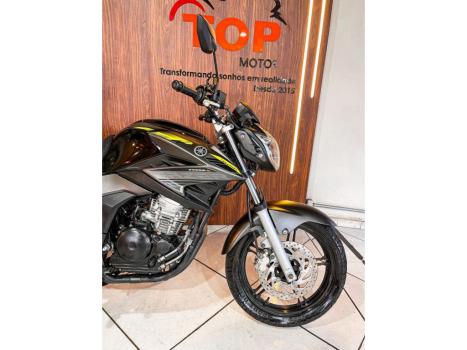 YAMAHA YS Fazer 250 BLUE FLEX, Foto 2