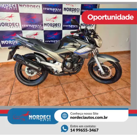 YAMAHA YS Fazer 250 LIMITED EDITION, Foto 1