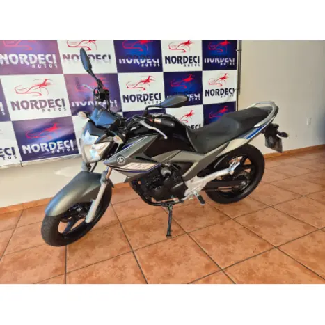 YAMAHA YS Fazer 250 LIMITED EDITION, Foto 6