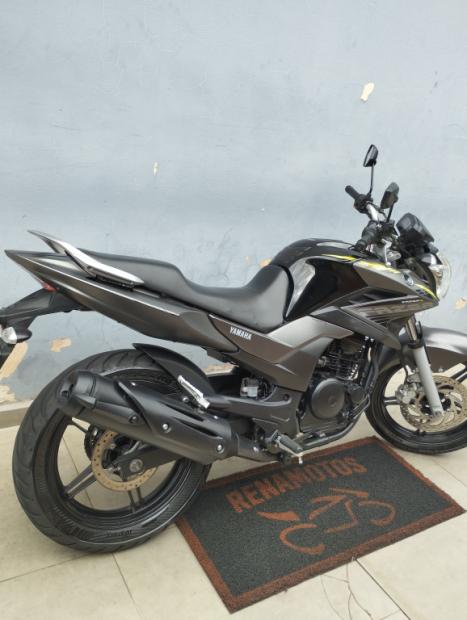 YAMAHA YS Fazer 250 BLUE FLEX, Foto 2