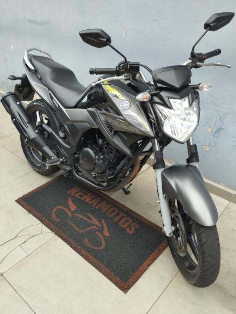 YAMAHA YS Fazer 250 BLUE FLEX, Foto 8