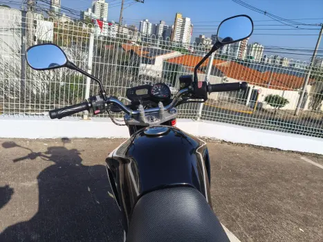 YAMAHA YS Fazer 250 , Foto 14