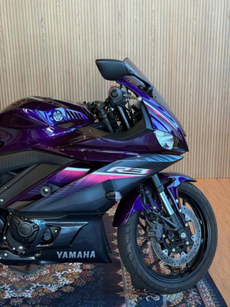 YAMAHA YZF R3 300 ABS, Foto 4