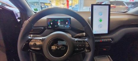 BYD Dolphin Mini 38 KW ELTRICO, Foto 9