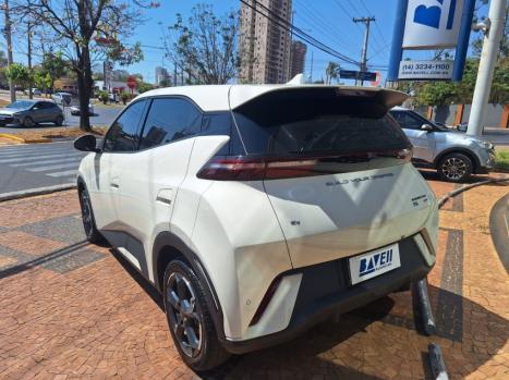 BYD Dolphin Mini 38 KW ELTRICO, Foto 3