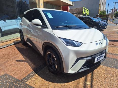 BYD Dolphin Mini 38 KW ELTRICO, Foto 4