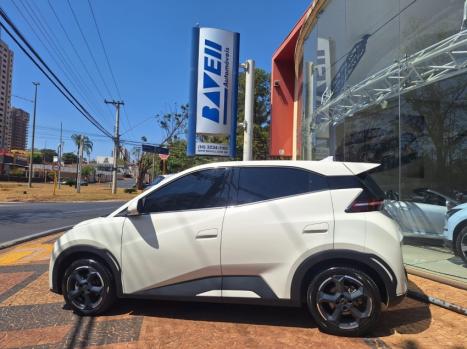 BYD Dolphin Mini 38 KW ELTRICO, Foto 15
