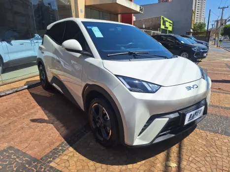 BYD Dolphin Mini 38 KW ELTRICO, Foto 20