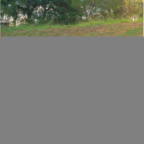 CHEVROLET Onix Hatch 1.0 4P FLEX JOY, Foto 3