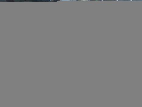 FIAT Palio 1.6 16V 4P FLEX SPORTING, Foto 3