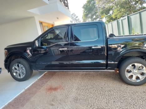 FORD F-150 5.0 V8 24V FX4 PLATINUM CABINE DUPLA AUTOMTICO, Foto 3