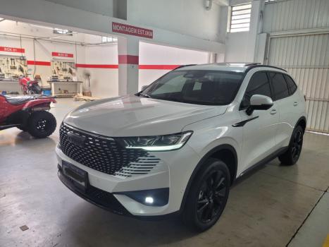 GWM Haval H6 1.5 16V 4P HEV PREMIUM E-TRACTION AUTOMTICO, Foto 1