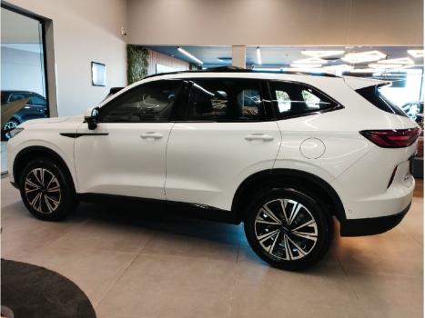 GWM Haval H6 1.5 16V 4P PHEV PREMIUM AWD E-TRACTION AUTOMTICO, Foto 8