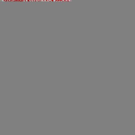 HONDA Biz 125 +, Foto 2