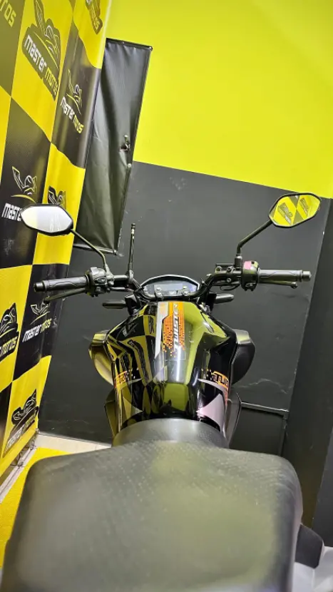 HONDA CB 250 F Twister FLEXONE, Foto 2