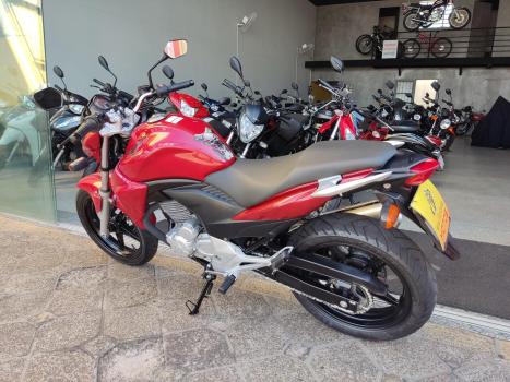 HONDA CB 300 R STD, Foto 2