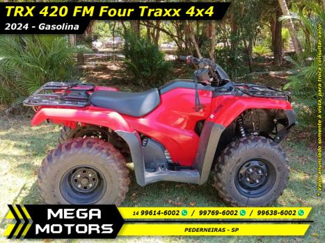 HONDA Four Trax 420, Foto 1