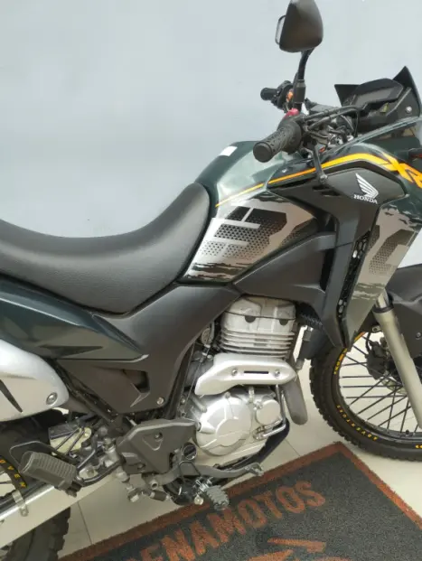 HONDA XRE 300 ADVENTURE, Foto 4