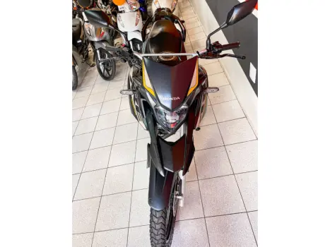 HONDA XRE 300 ADVENTURE, Foto 4
