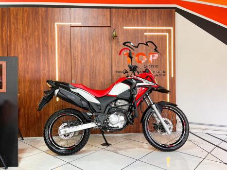 HONDA XRE 300 RALLY ABS, Foto 1