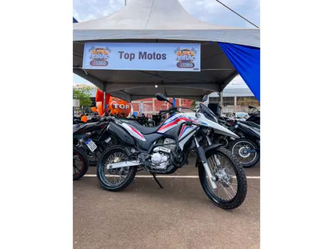 HONDA XRE 300 RALLY ABS, Foto 5