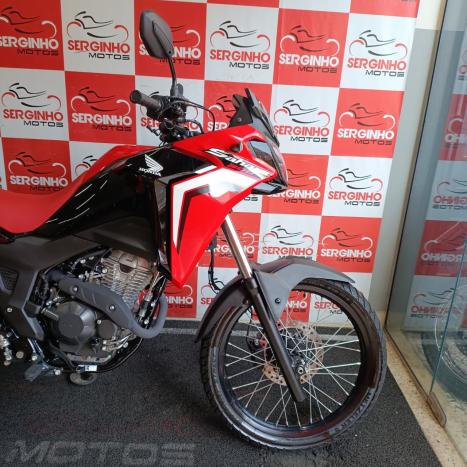HONDA XRE 300 RALLY ABS, Foto 2