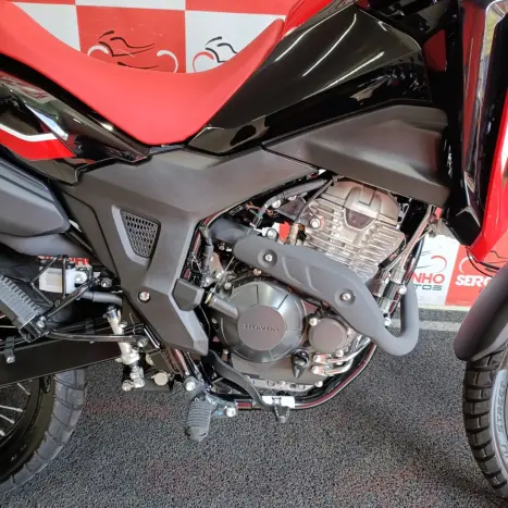 HONDA XRE 300 RALLY ABS, Foto 4