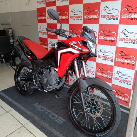 HONDA XRE 300 RALLY ABS, Foto 5