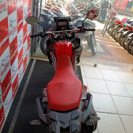 HONDA XRE 300 RALLY ABS, Foto 6