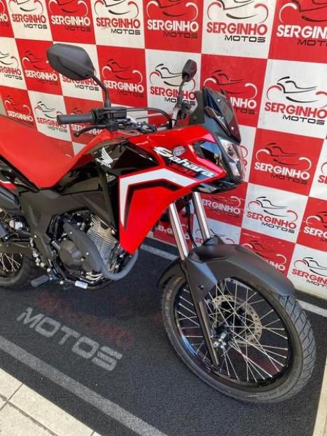HONDA XRE 300 RALLY ABS, Foto 2