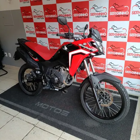 HONDA XRE 300 RALLY ABS, Foto 4