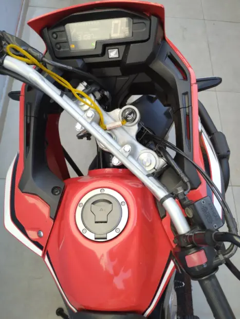 HONDA XRE 300 RALLY ABS, Foto 4