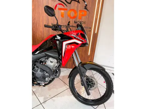HONDA XRE 300 Sahara RALLYE, Foto 2