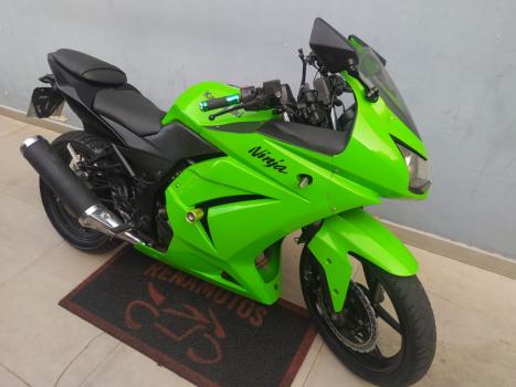 KAWASAKI Ninja 250 R, Foto 2