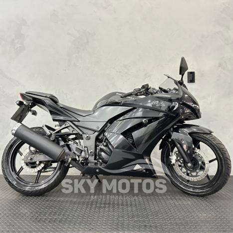 KAWASAKI Ninja 250 R, Foto 1