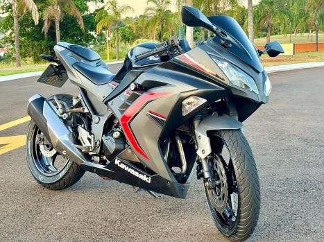 KAWASAKI Ninja 300 , Foto 2