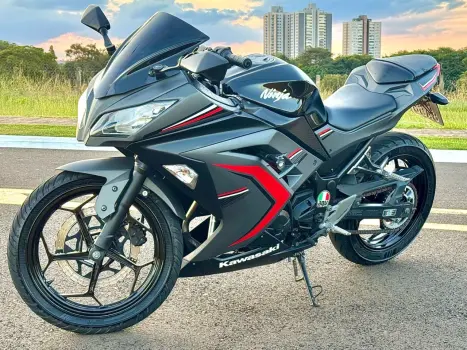 KAWASAKI Ninja 300 , Foto 4