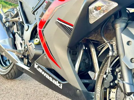 KAWASAKI Ninja 300 , Foto 10