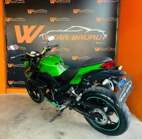 KAWASAKI Z 300 ABS, Foto 2