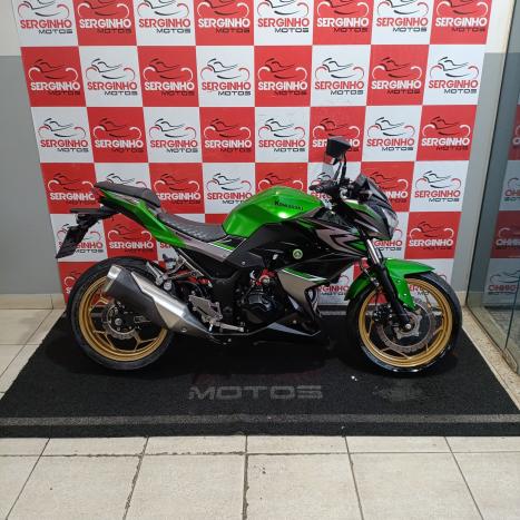 KAWASAKI Z 300 ABS, Foto 1