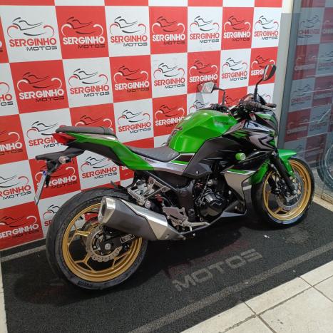 KAWASAKI Z 300 ABS, Foto 3