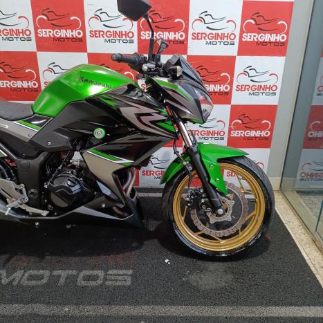 KAWASAKI Z 300 ABS, Foto 6