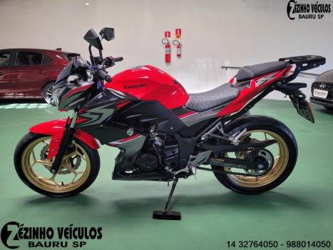 KAWASAKI Z 300 ABS, Foto 2