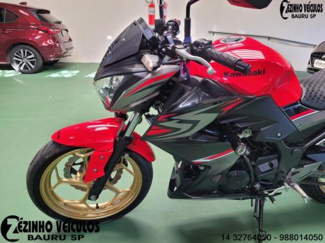 KAWASAKI Z 300 ABS, Foto 3