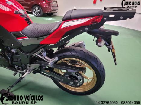 KAWASAKI Z 300 ABS, Foto 4